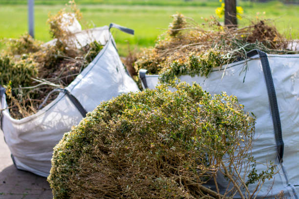 Best Construction Debris Removal  in Wentzville, MO