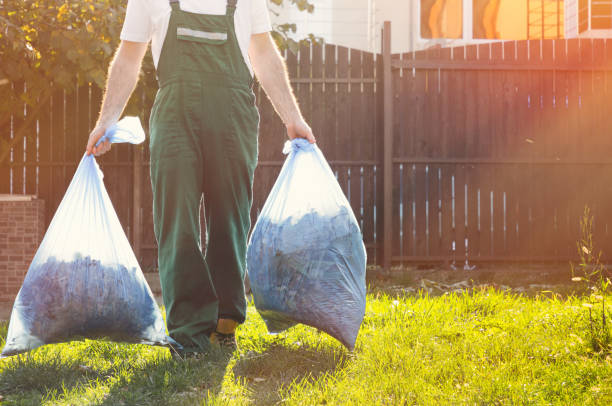 Best Office Junk Removal  in Wentzville, MO